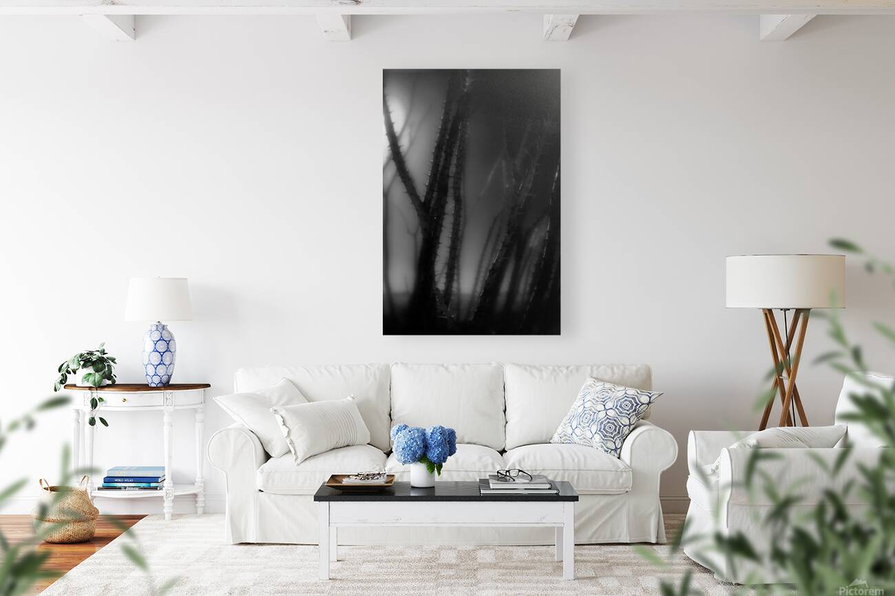 Shadows Weave Through Thorned Spire Reproduction