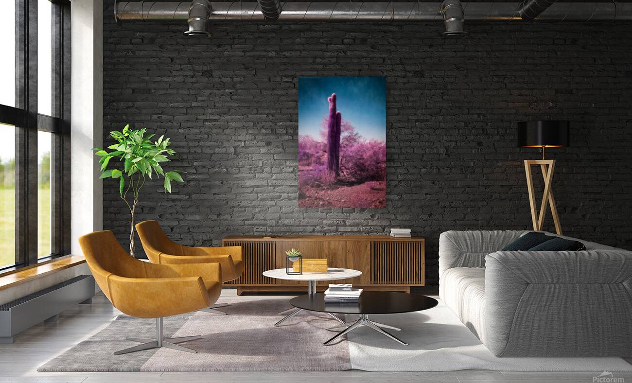 Deserts Purple Dream Reproduction