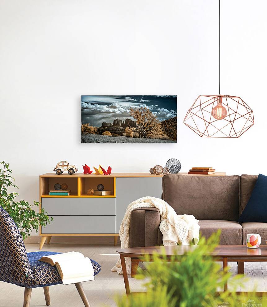 Solitary Desert Dreams Reproduction