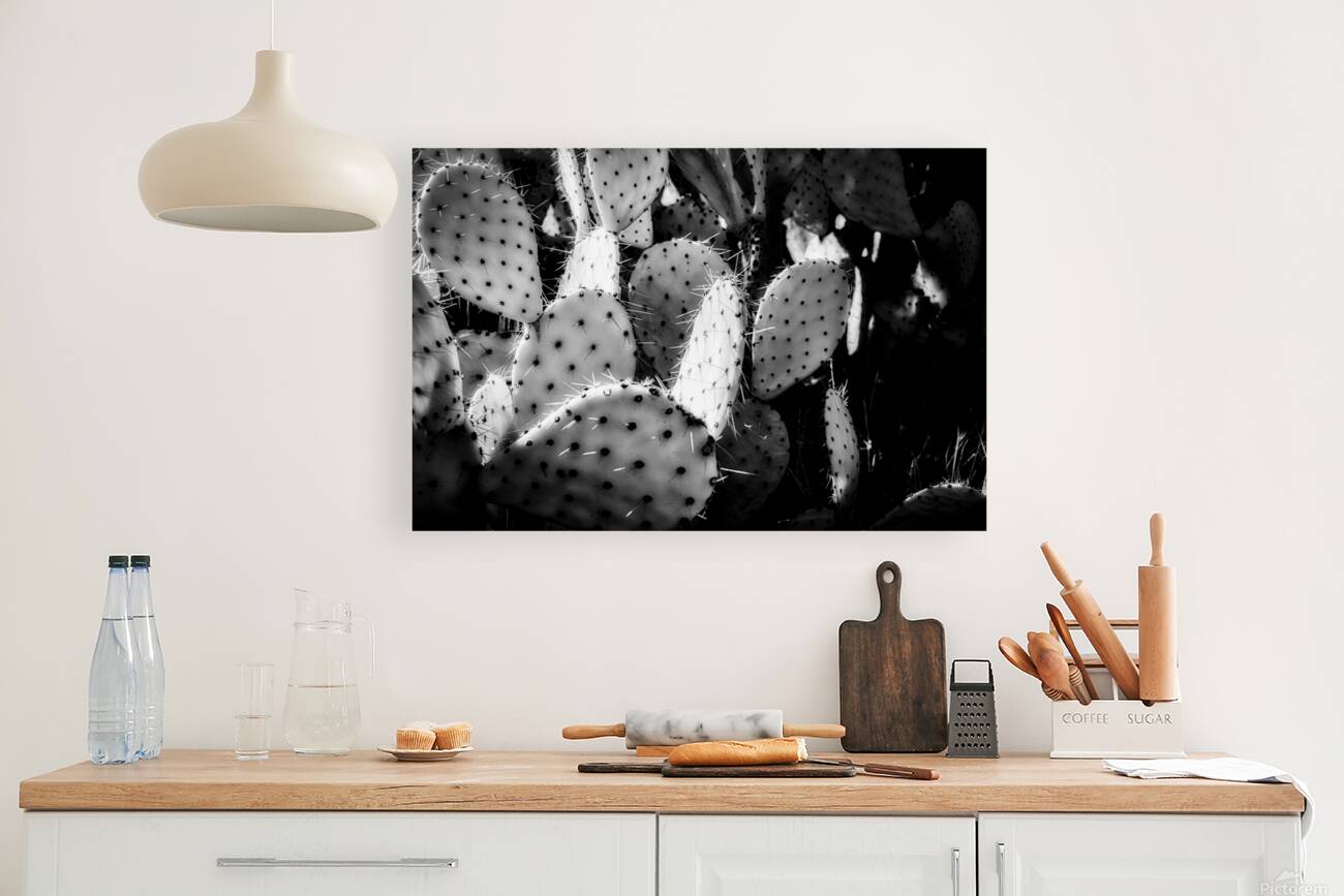 Textures of the Desert Reproduction