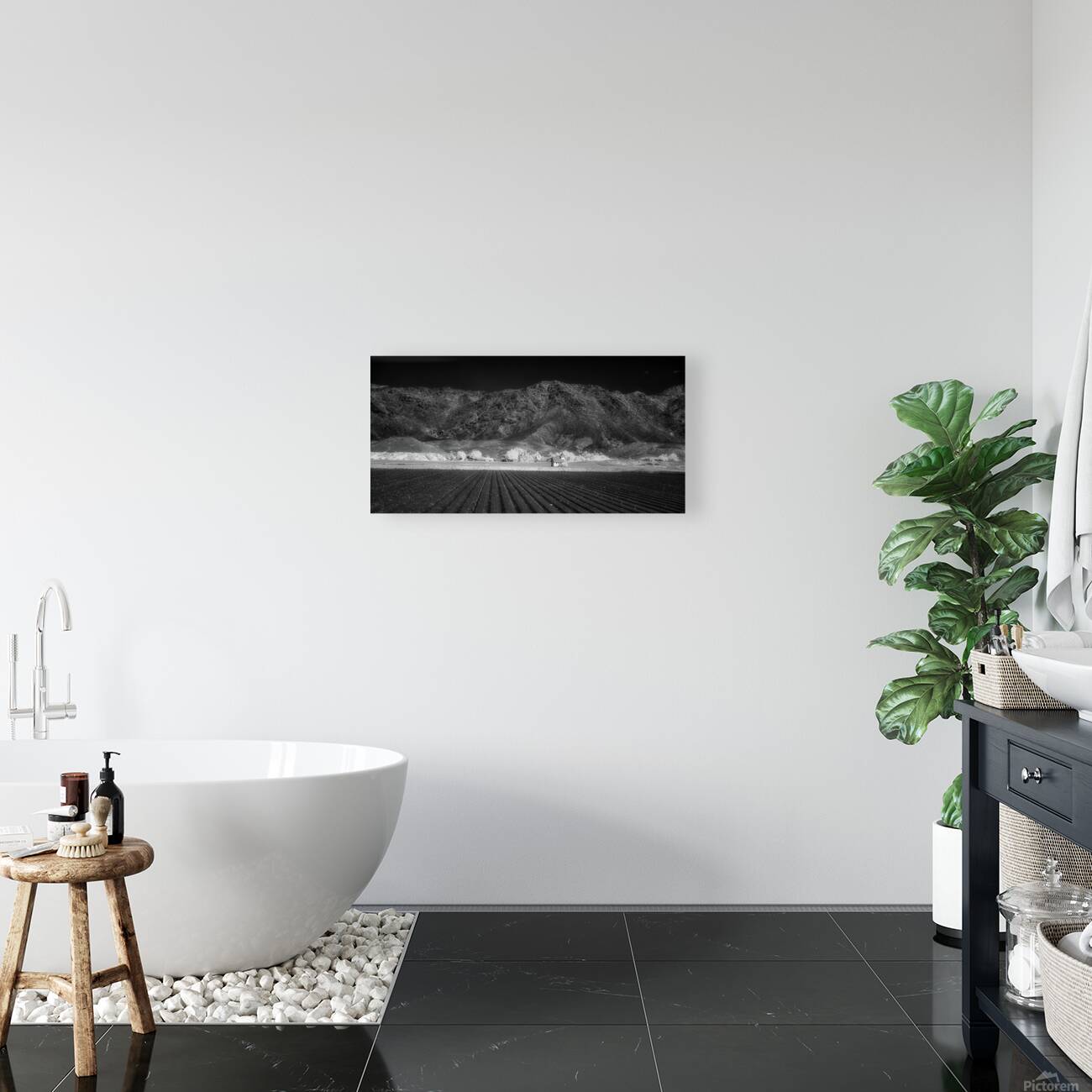 Fields of Infinite Solitude Reproduction