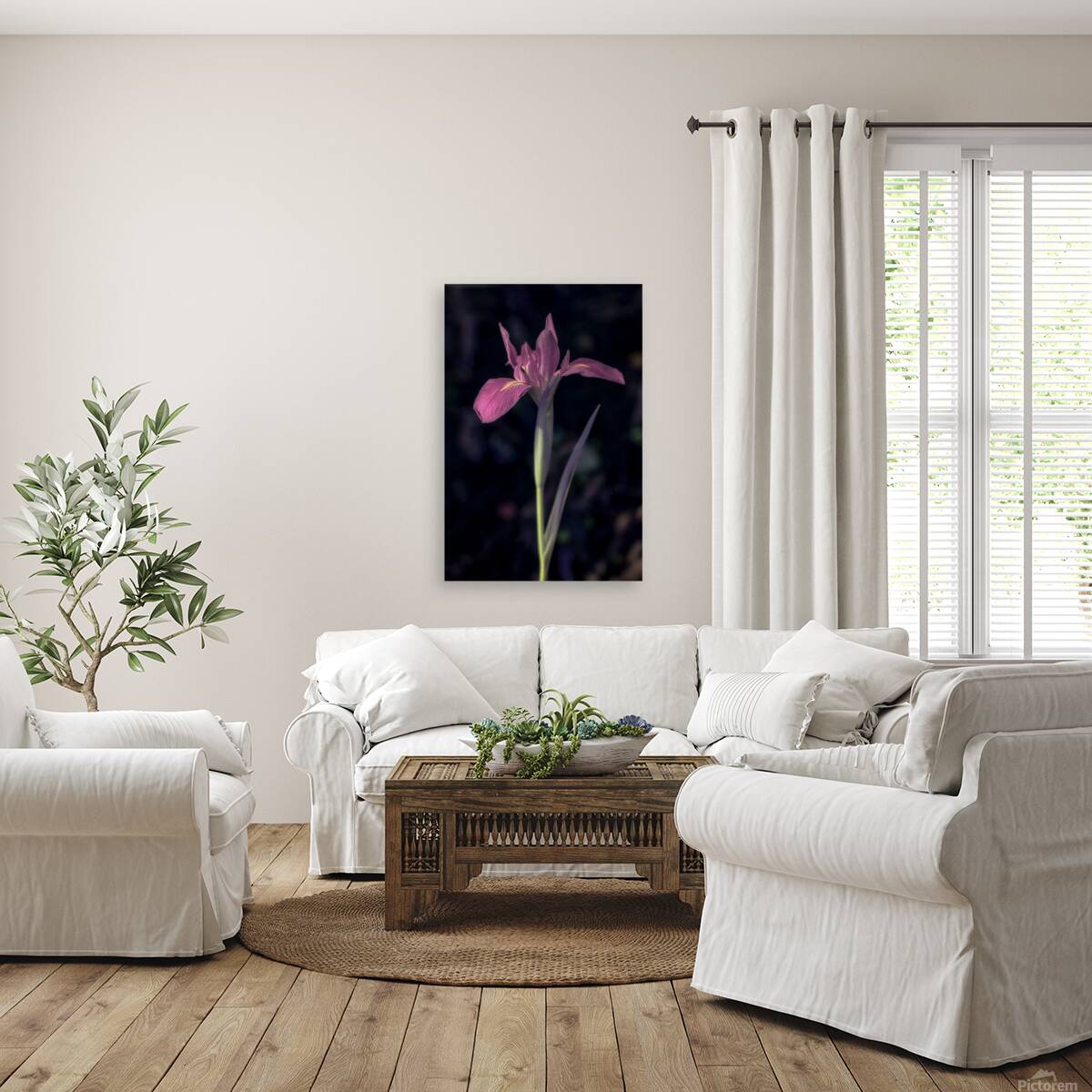 Pink Petals Eloquent Contrast Reproduction