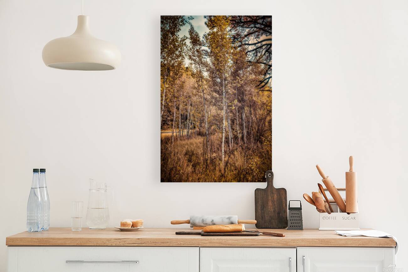 Serenade of Fall Foliage Reproduction