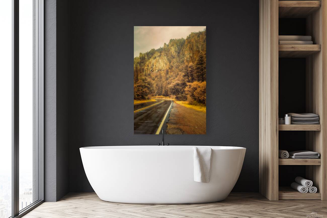 Reflections of a Rain Kissed Road Reproduction