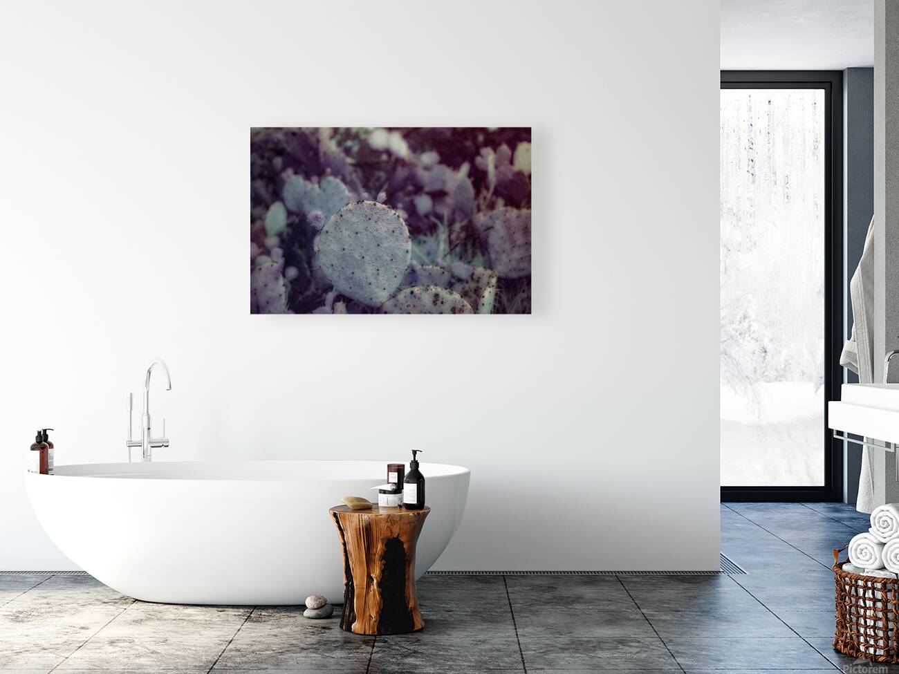 Desert Shadows: Purple Infrared Texas Cactus Reproduction