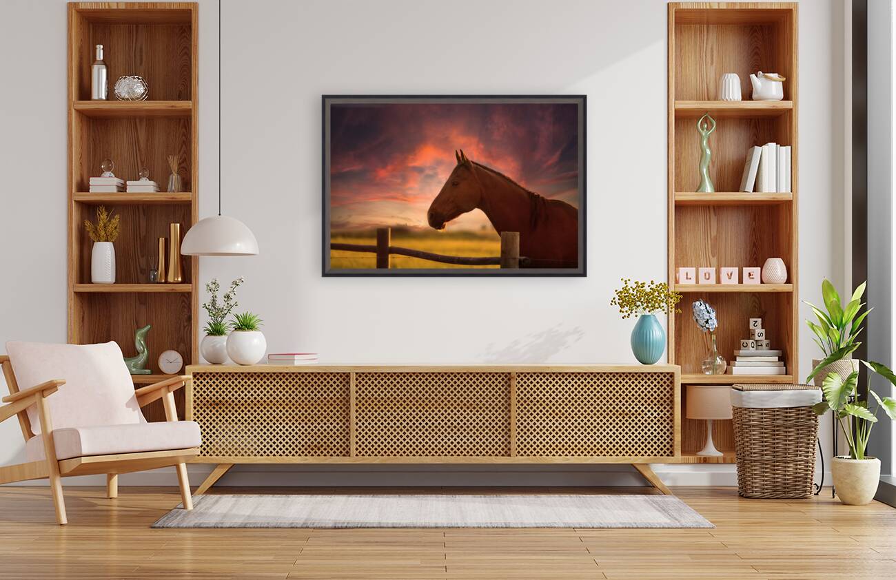 Dreams Beyond the Fence Reproduction