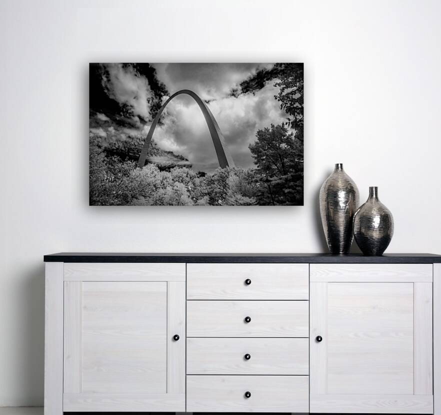 Infinite Curves in Saint Louis Reproduction