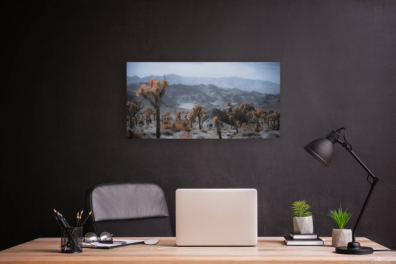 Deserts Spiky Palette Reproduction