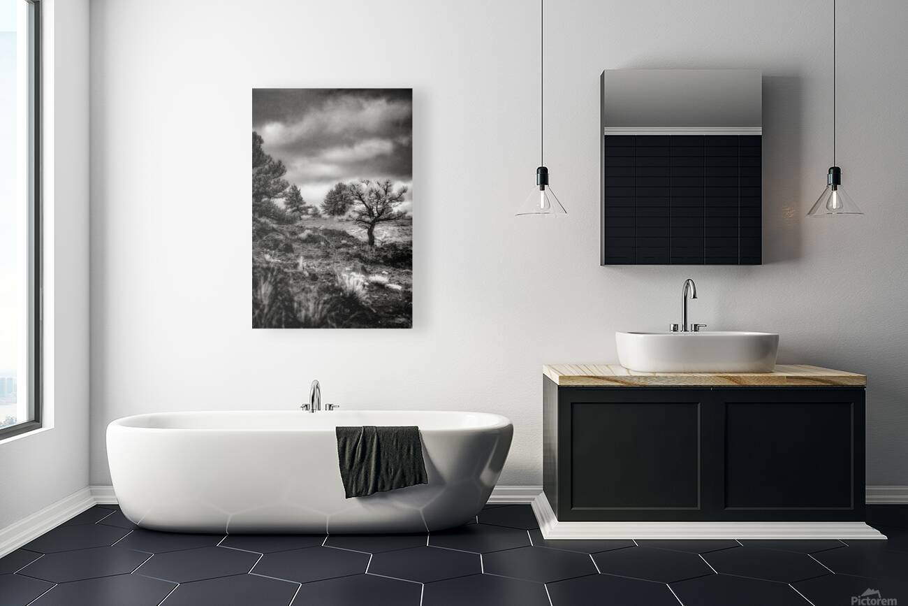 Solitude Unveiled: A Mystical Wyoming Lone Tree at Guernsey Stat Reproduction