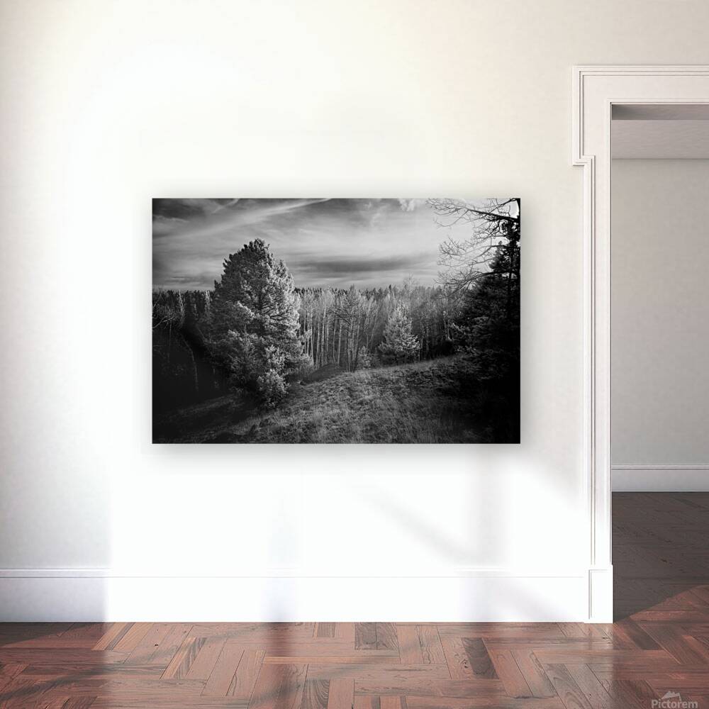 Mueller Aspen Series: Natures Finale Reproduction