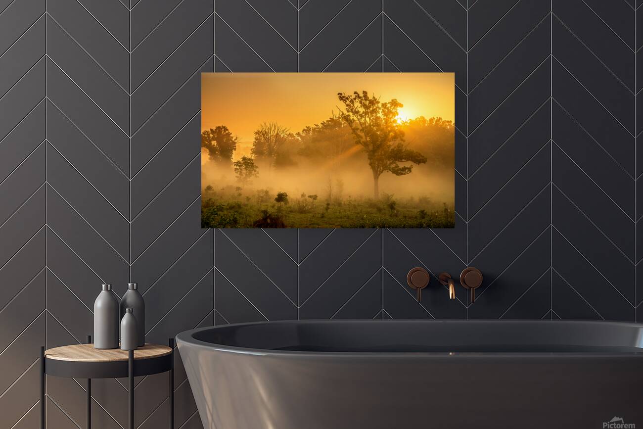 Misty Morning Glow: Dawn in Gettysburg Reproduction