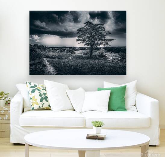 Storm Watch at Little Round Top Reproduction