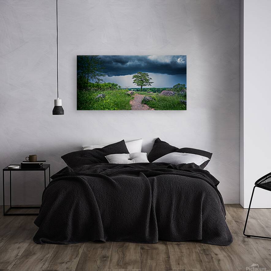 Solitude and Serenity: A Hike through Little Round Tops Enchante Reproduction