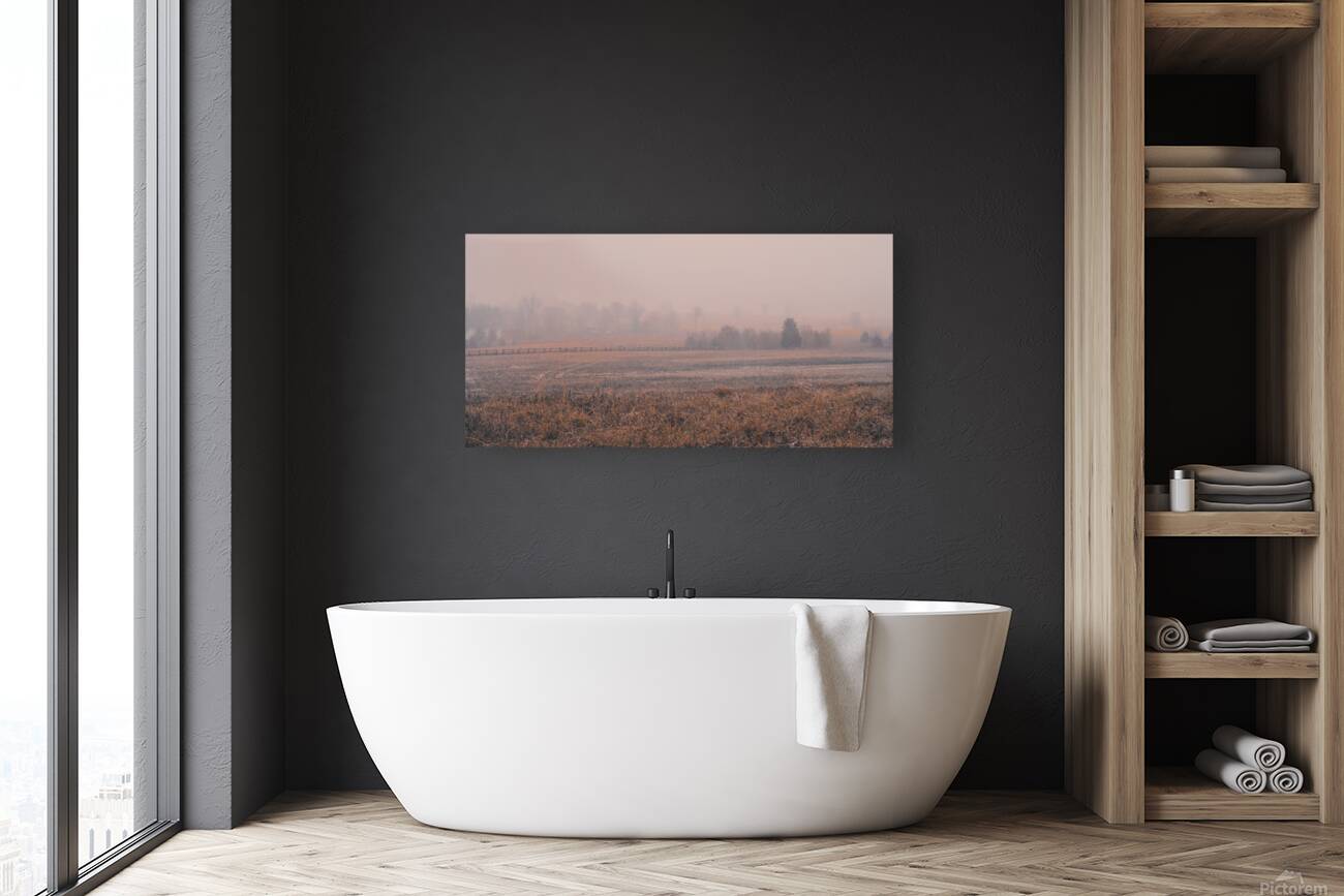 Hazel Field Reproduction