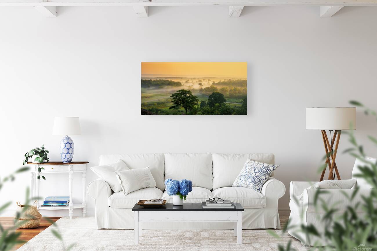 Foggy Bottom Reproduction