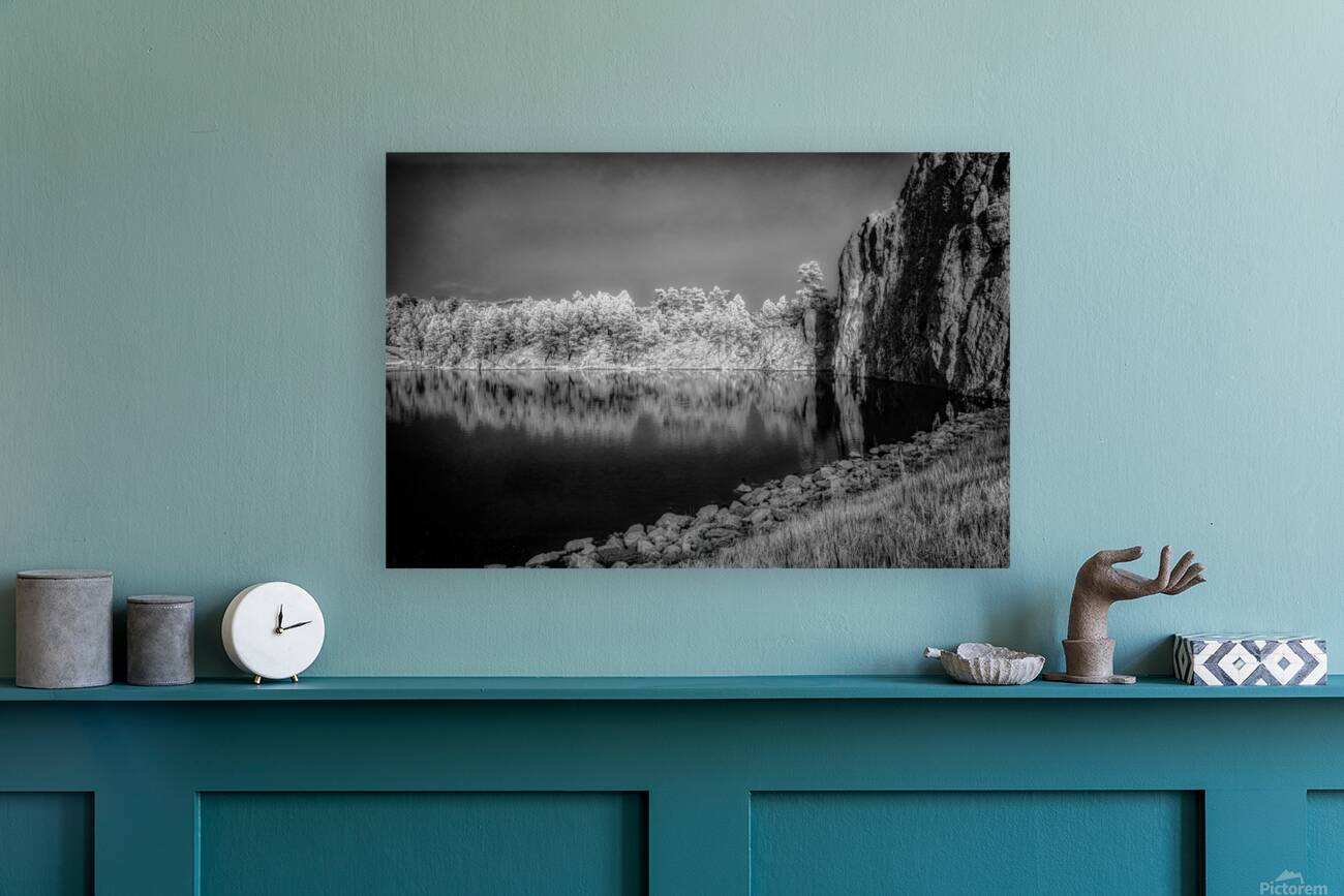 Legion Reflections Reproduction