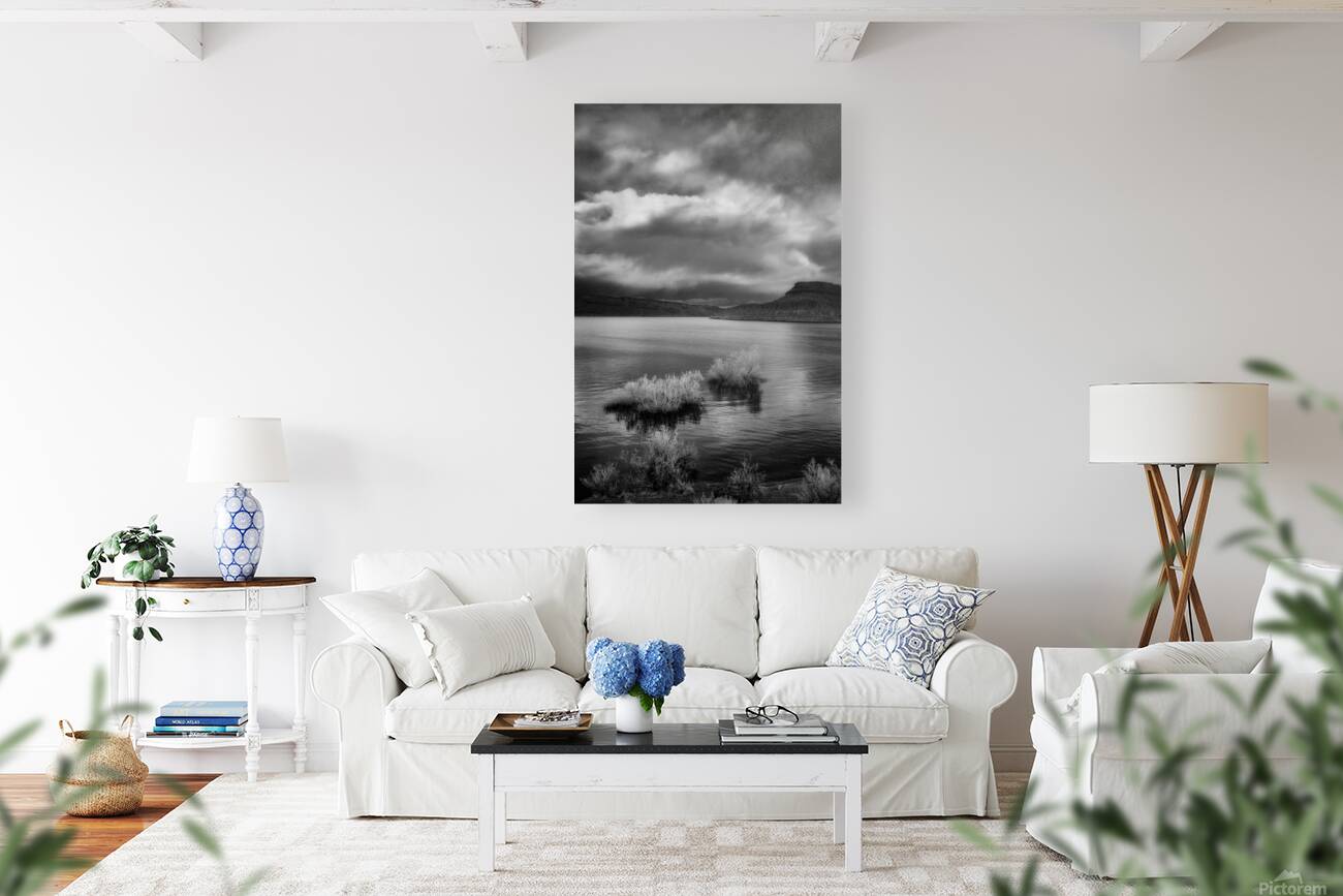 Desert Lake Storm Watch Reproduction