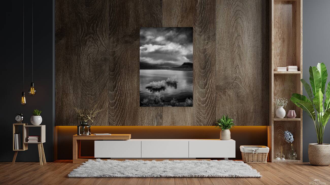 Desert Lake Storm Watch Reproduction