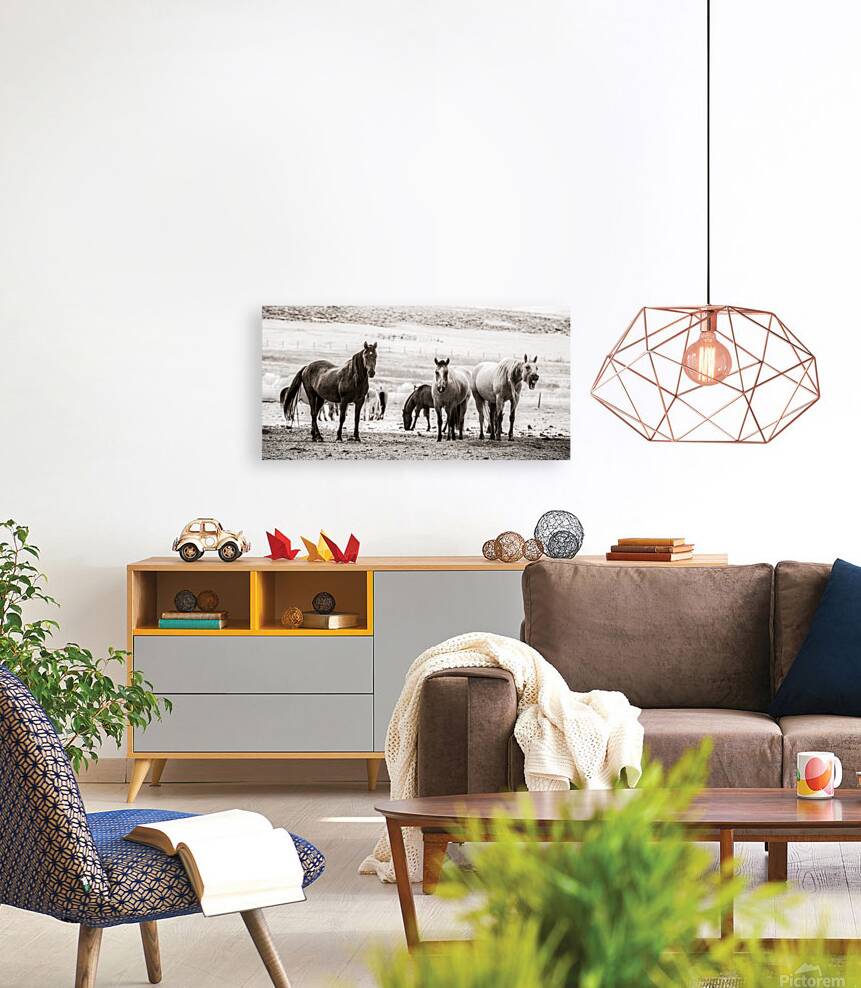 Wild Bonds   Wyoming Fellowship Reproduction