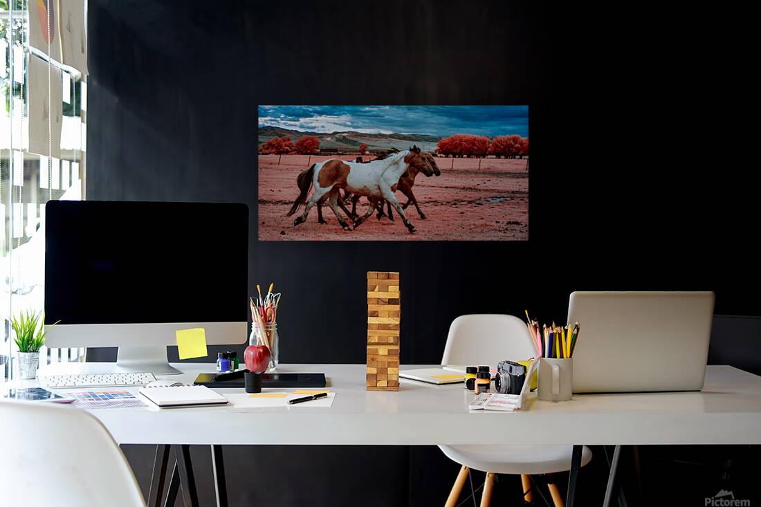 Thunders Dance   Wild Spirit Unleashed Reproduction