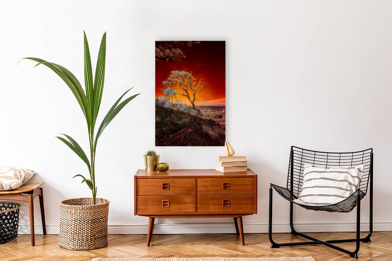 Ruby Bonsai: A Botanical Marvel Unveiled on Driftwood Beach Reproduction