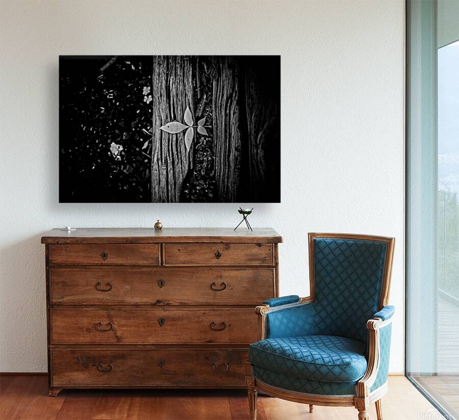 Step Above  Reproduction