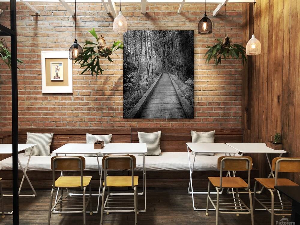 Mystical Journey: Sylvan Lake Wooden Trail in Infrared Reproduction