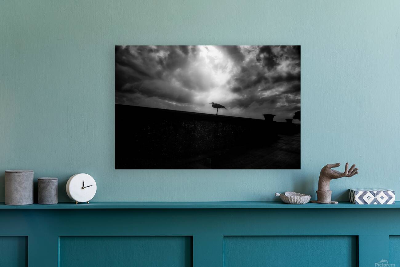 Rainy Day Stroll: Capturing Serenity with a Silhouetted Bird in  Reproduction