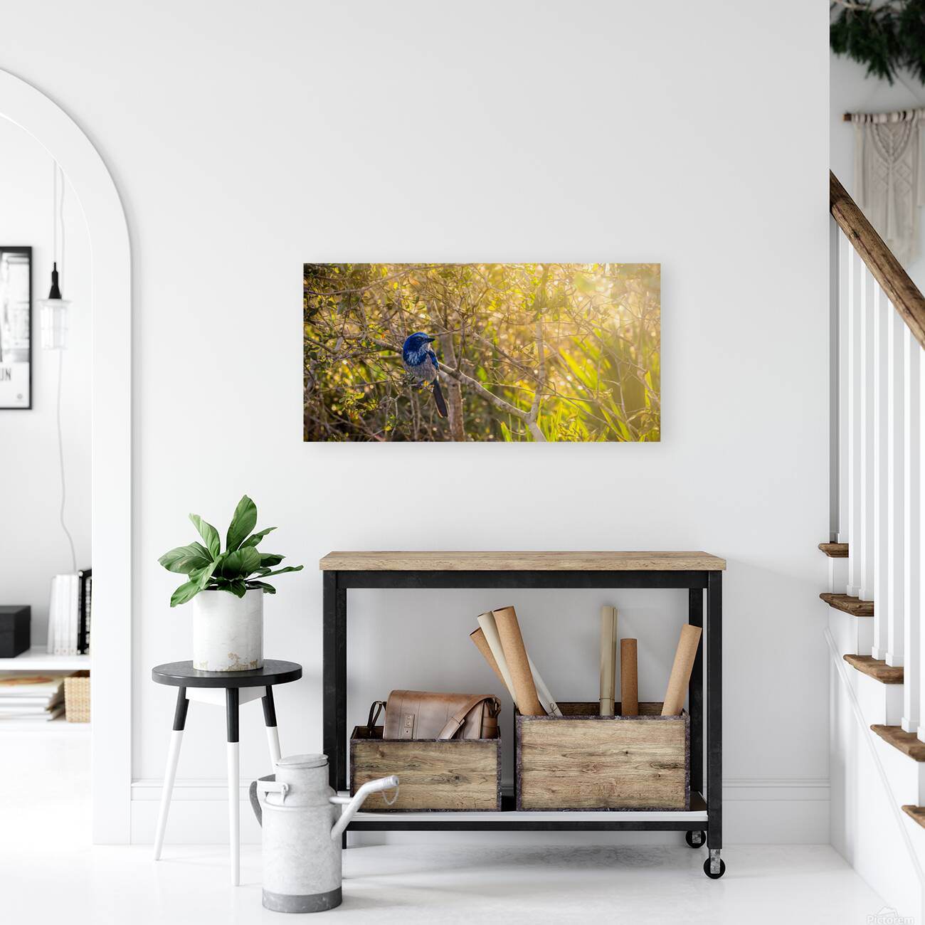 A Feathery Connection: Bluebird Serendipity Reproduction