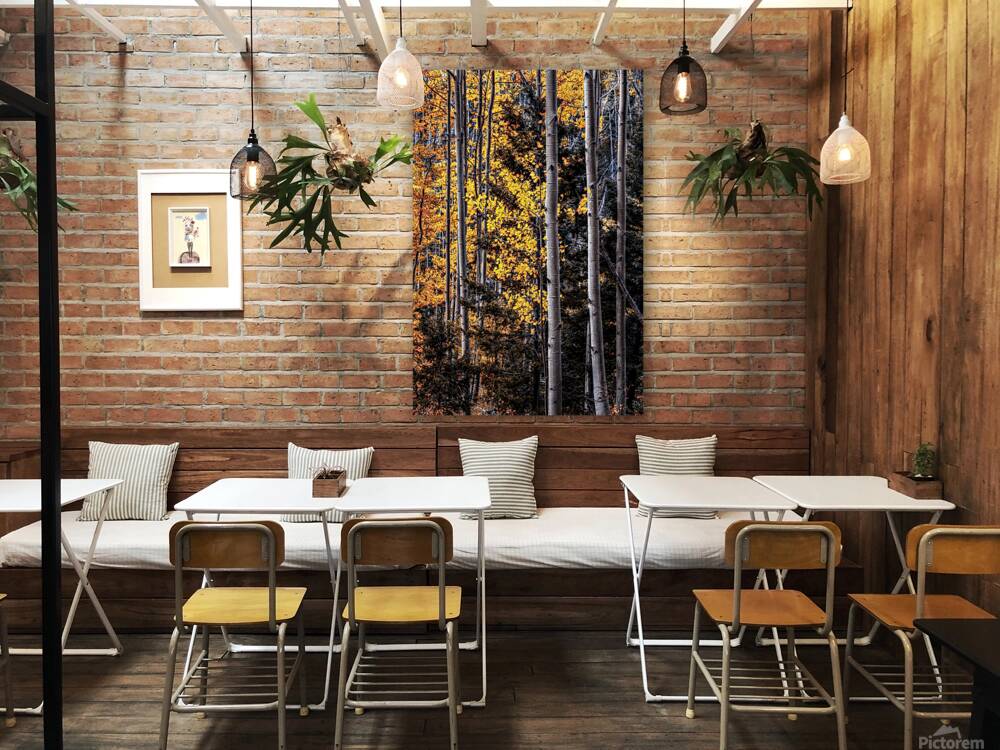 Warmth Amidst the Shadows Reproduction