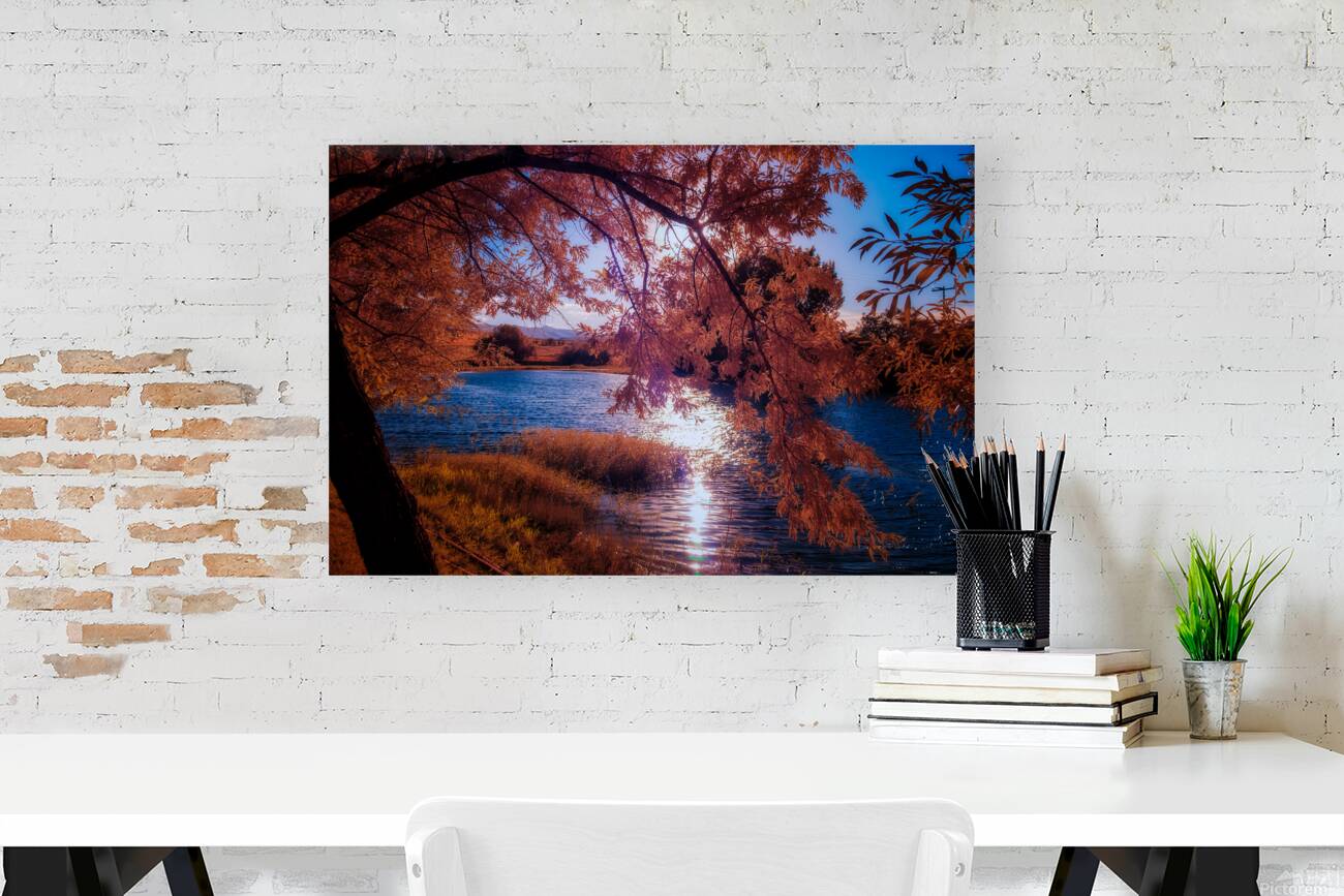 Copper Dreams at Lander Lake Reproduction