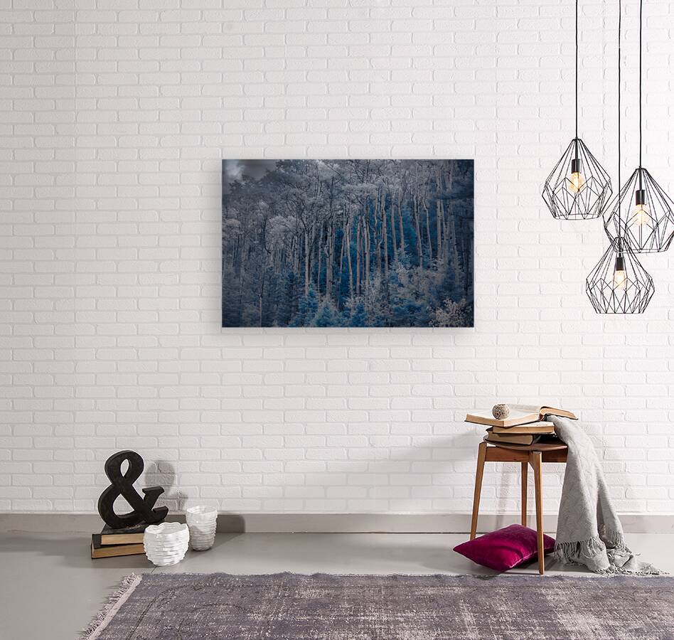 Ethereal Blue Amidst Monochrome Forest Reproduction