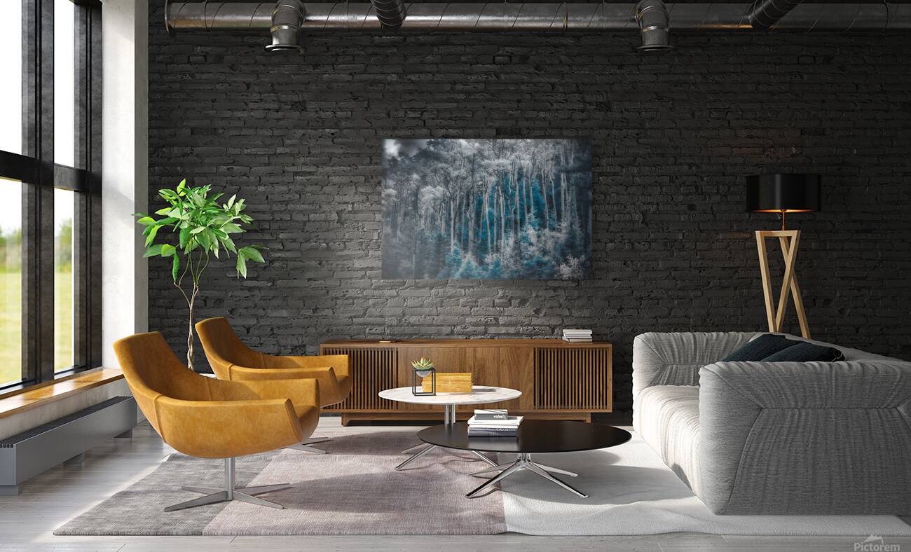 Ethereal Blue Amidst Monochrome Forest Reproduction