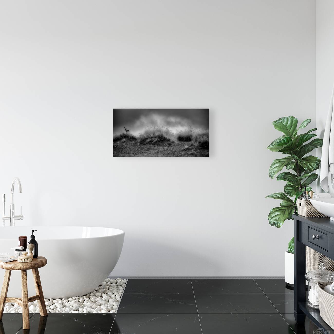 Contemplation Before the Storm Reproduction