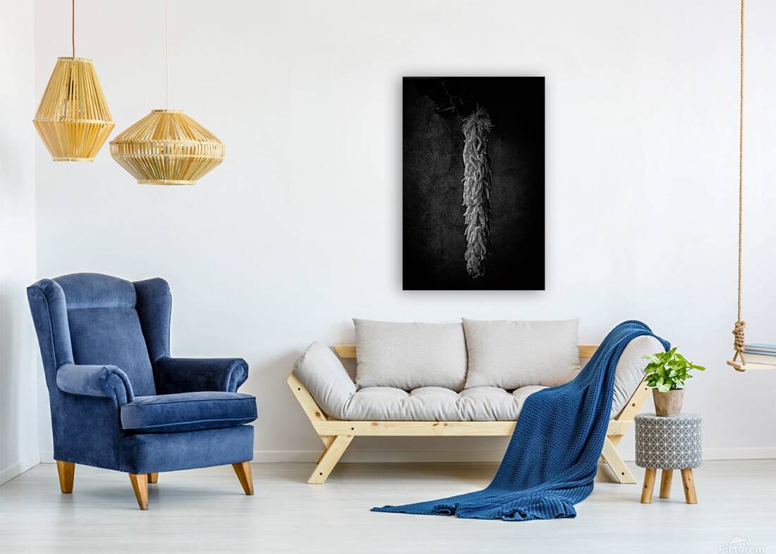 Infrared Elegy of Red Chilis Reproduction