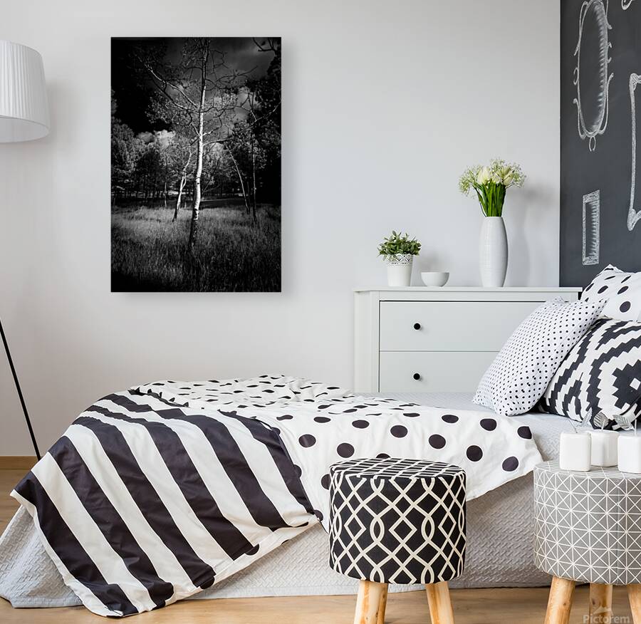 Aspen Reverie: Ansels Inspiration Reproduction