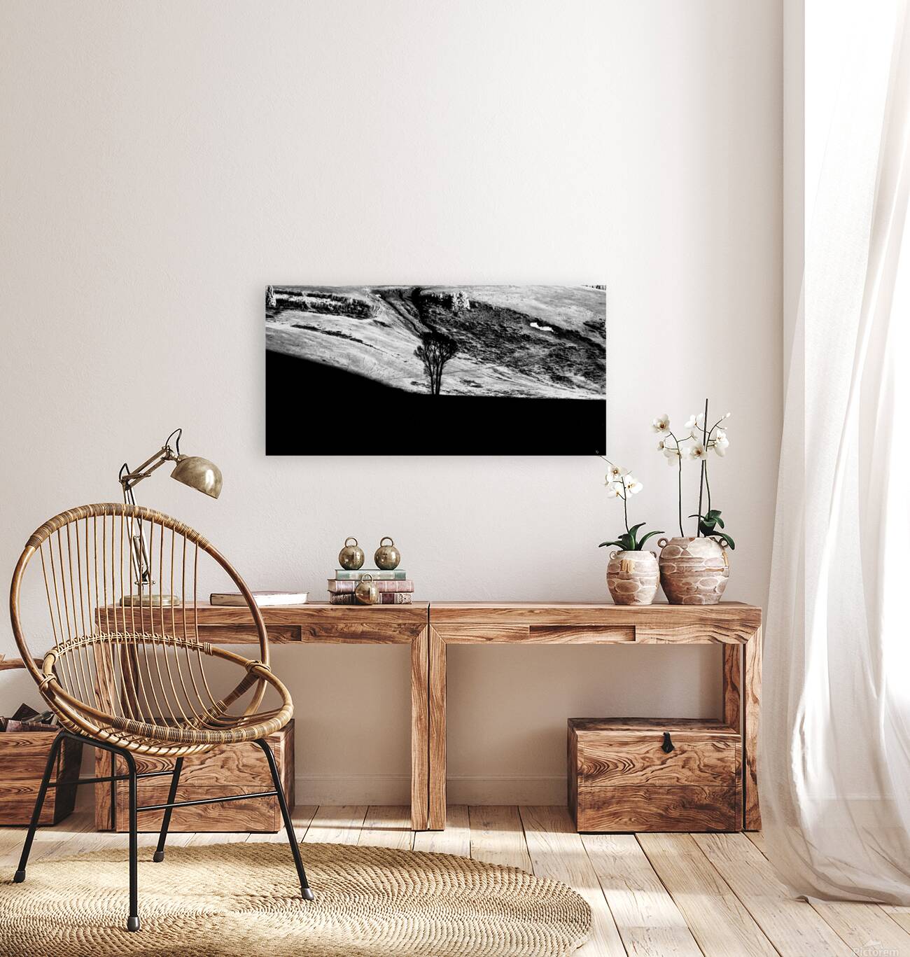 Solitary Sentinel Reproduction