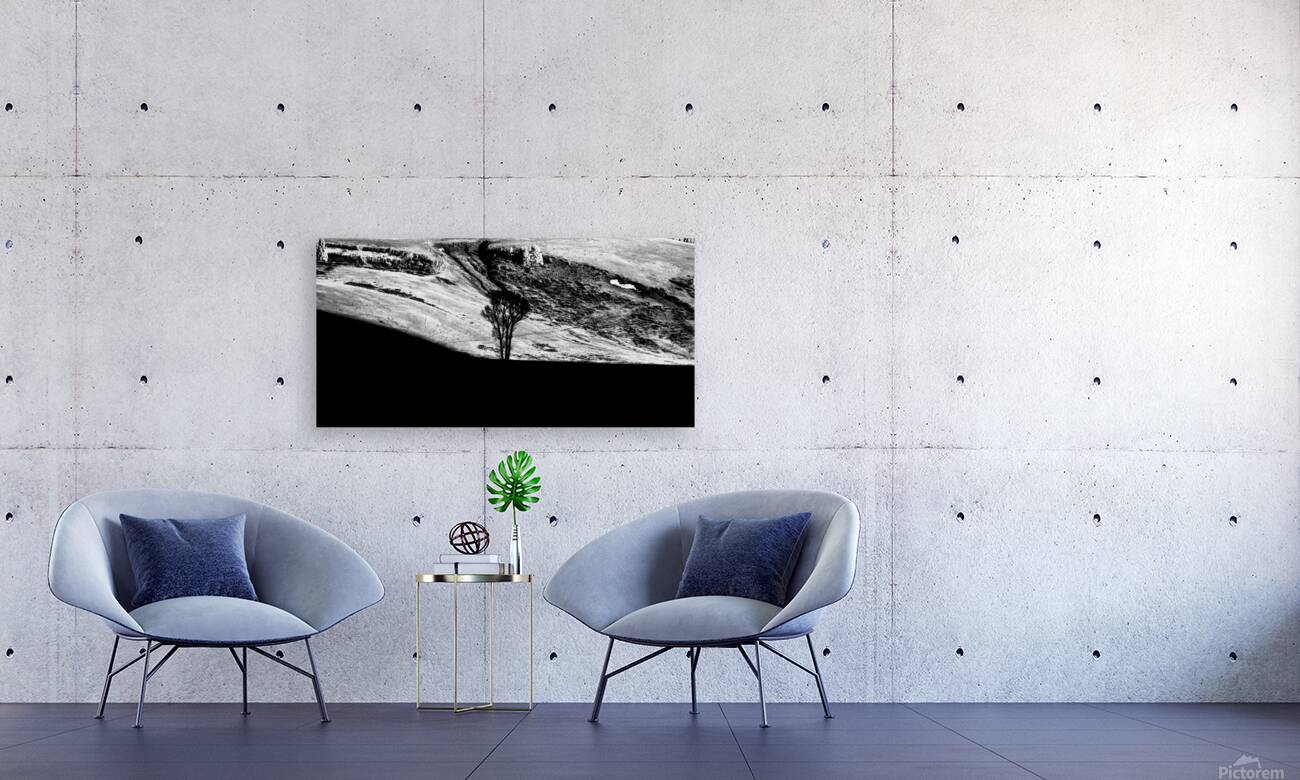 Solitary Sentinel Reproduction