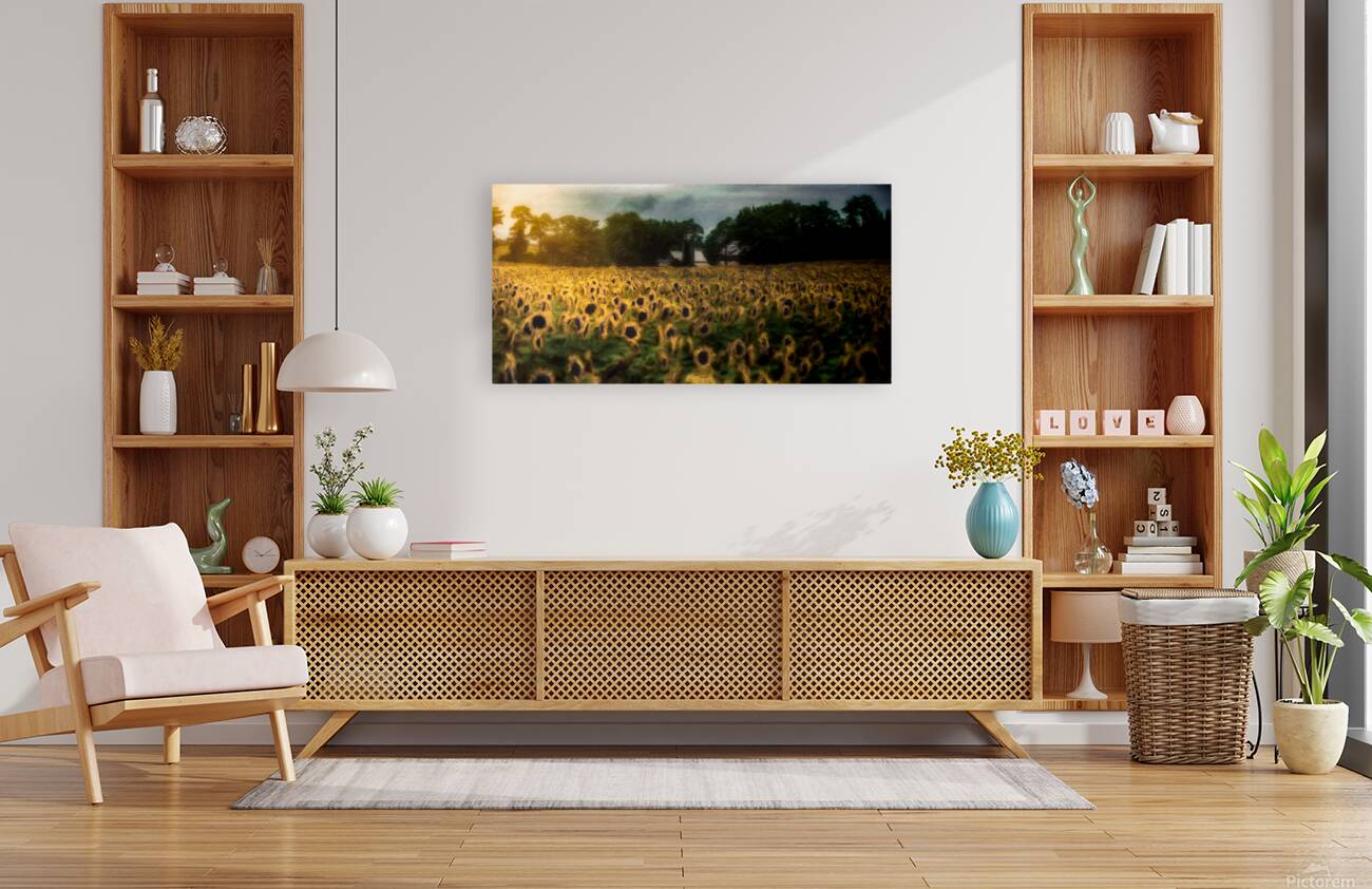 The Field That Remembers the Sun Reproduction