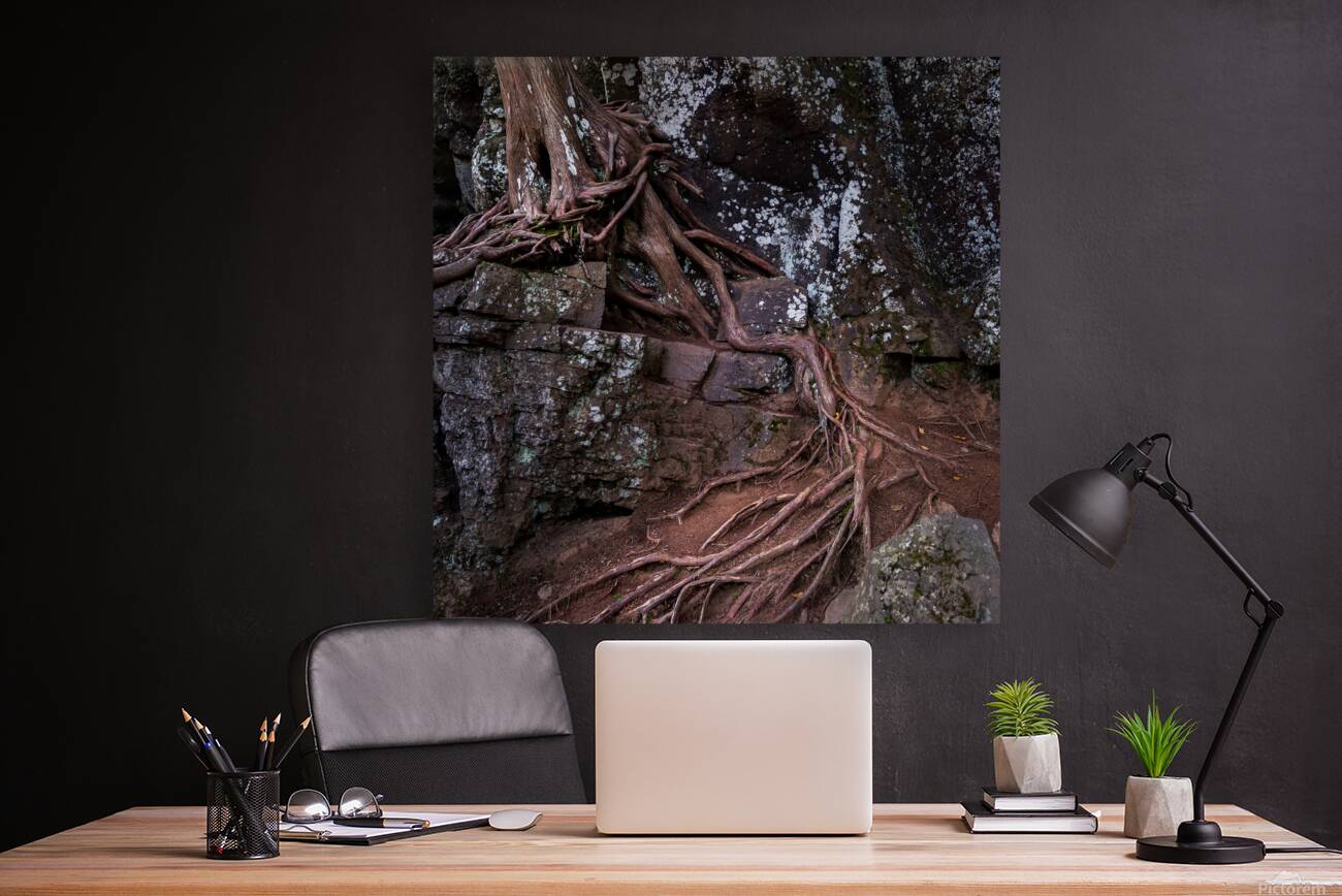 Ancient Bonds of Stone and Root Reproduction