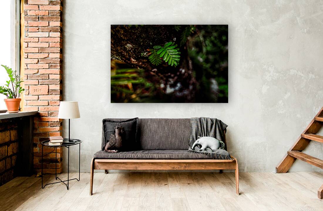 Solitary Spirit: Fern’s Embrace Reproduction