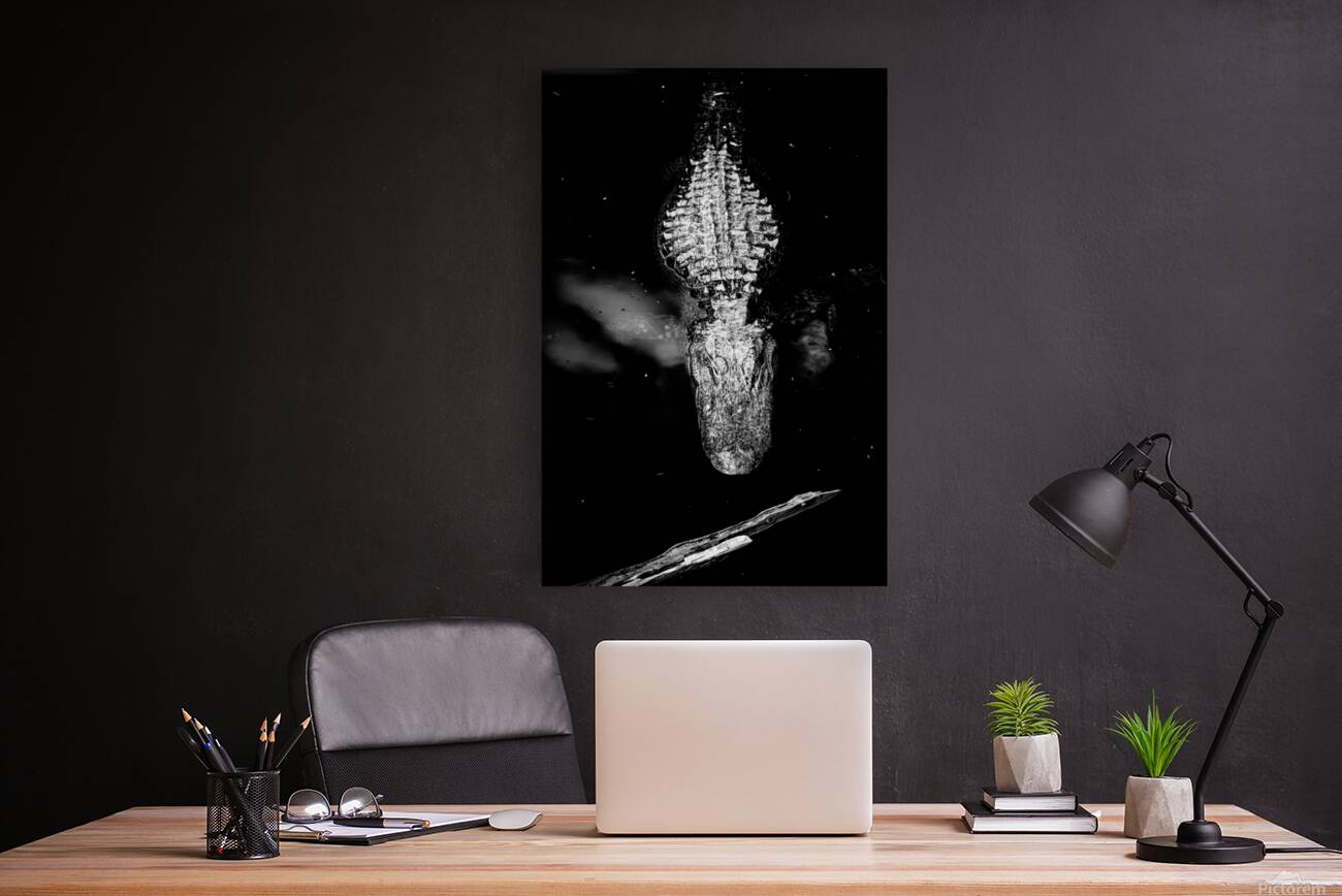 The Armor Beneath the Surface Reproduction