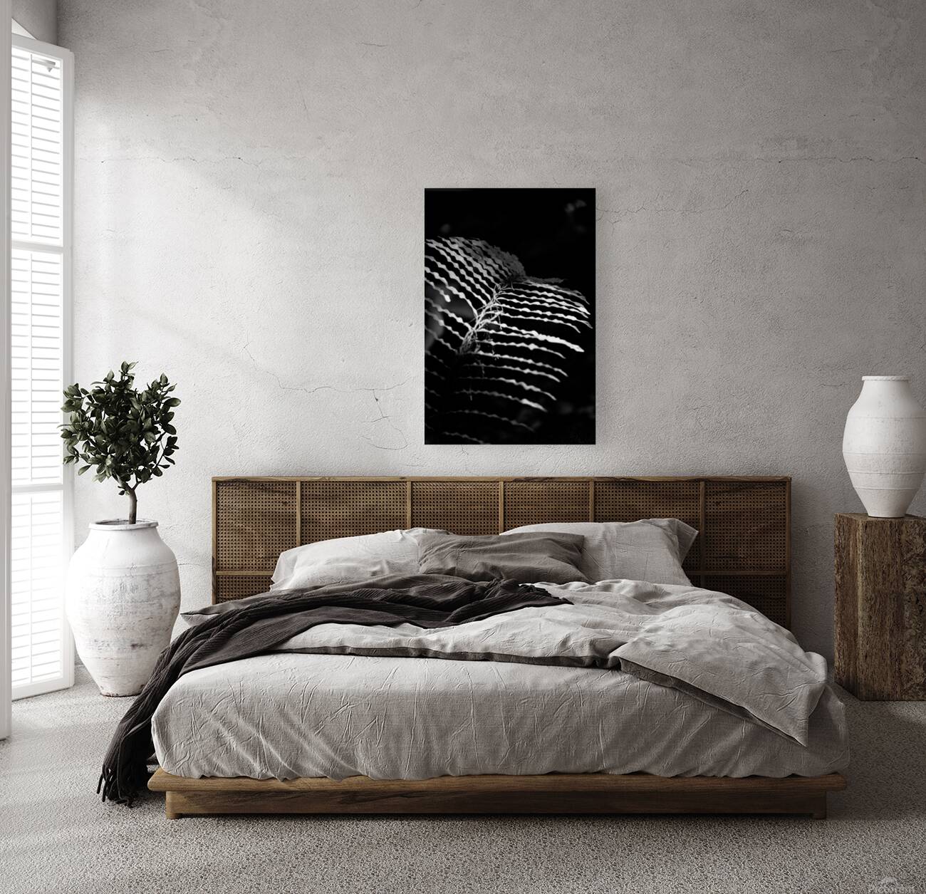 The Fern’s Quiet Frequency Reproduction