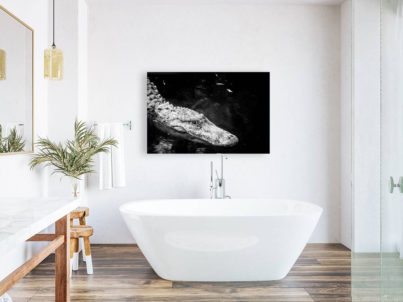 Old Eyes Dark Water Reproduction