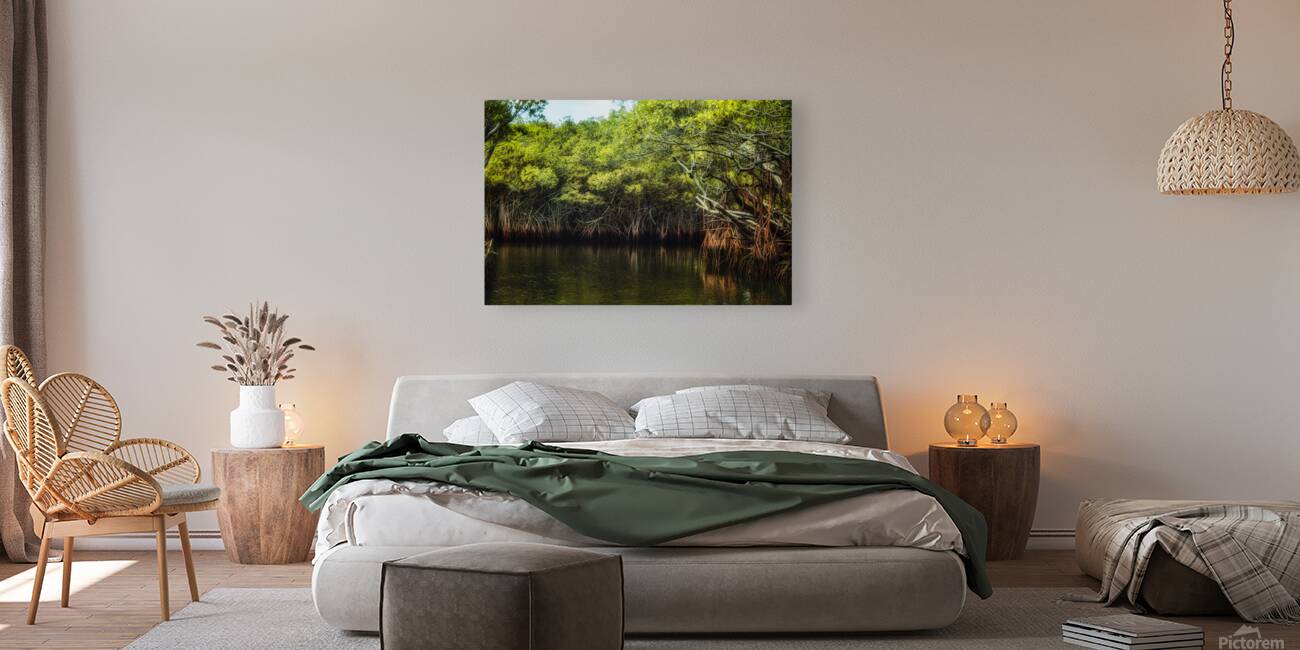 Where the Mangroves Whisper Reproduction