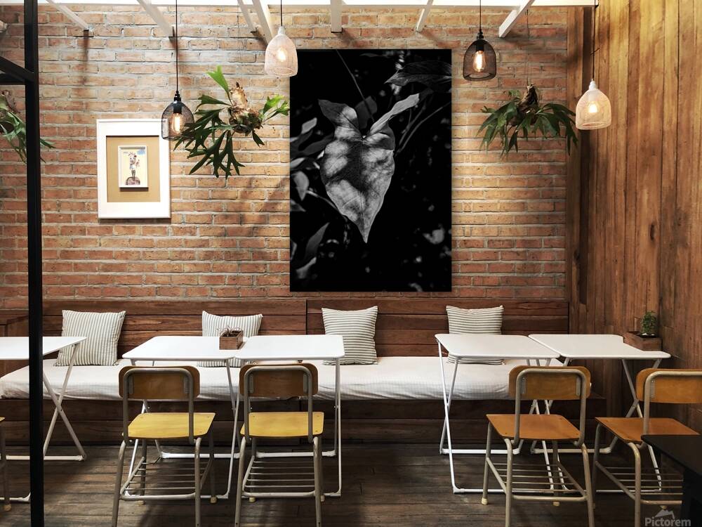 The Light That Finds Leaves Reproduction