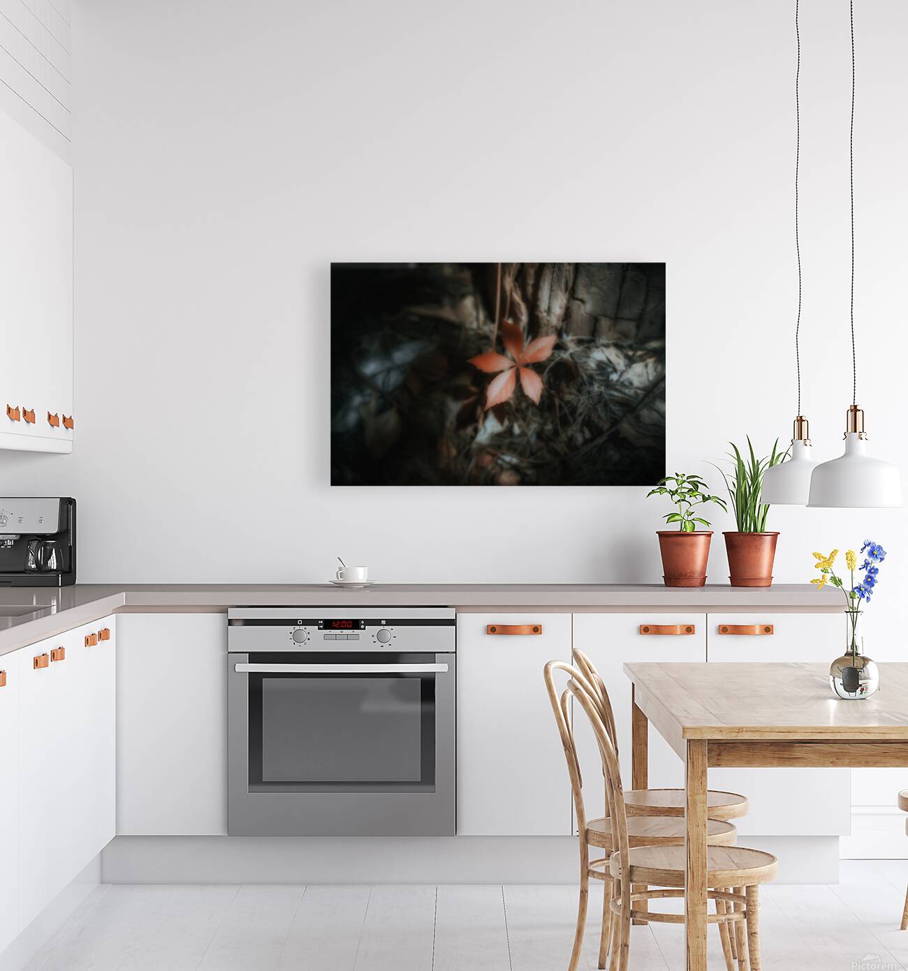 Leaf Holding the Shadow Reproduction