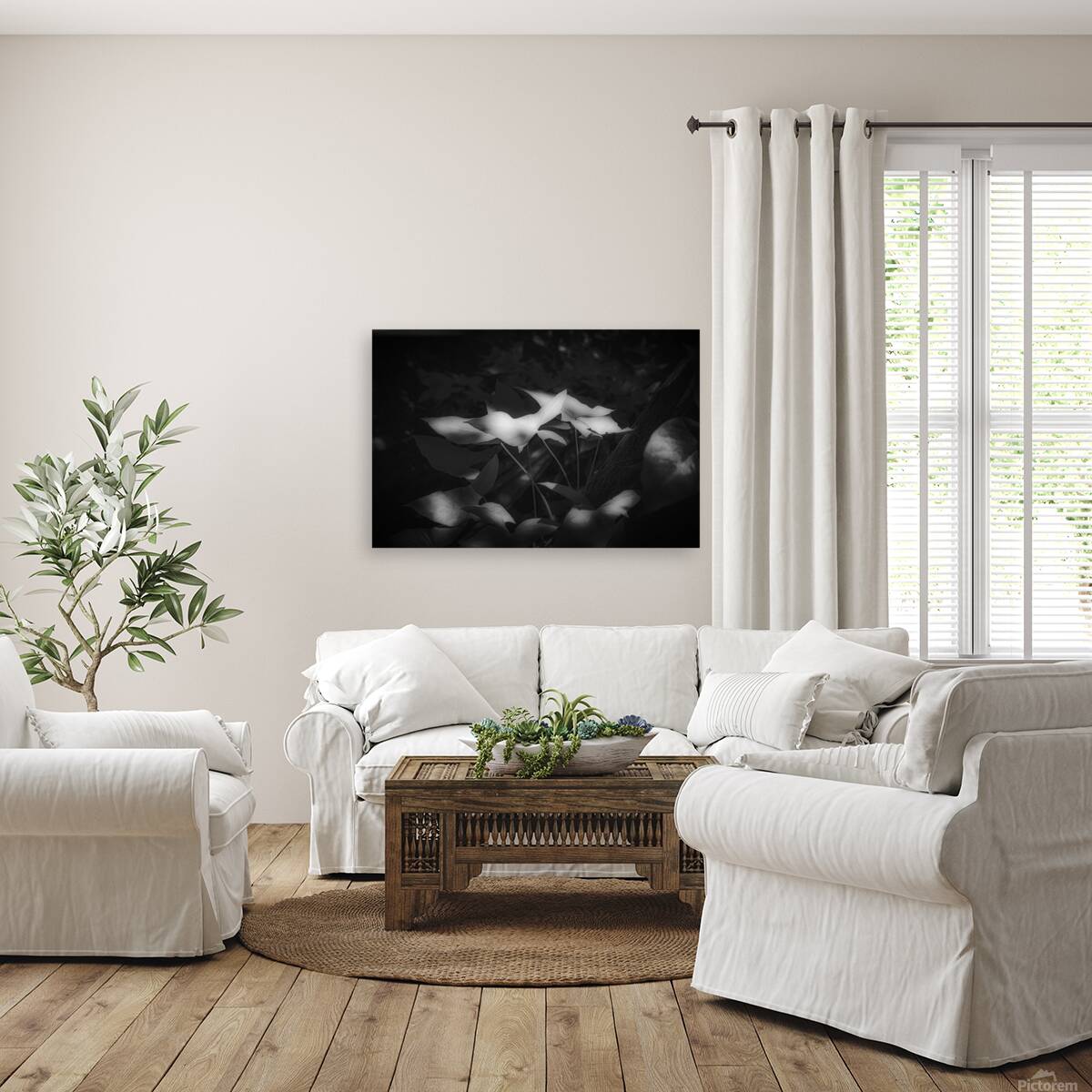 Six Petals of Quiet Fire Reproduction