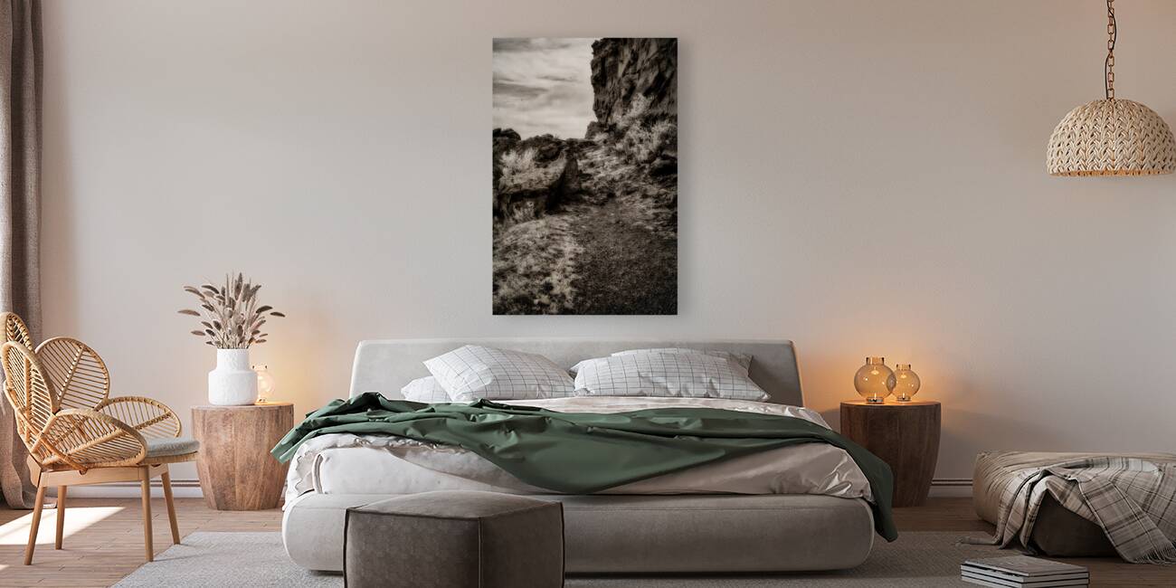 Silent Testaments of the Trail Reproduction