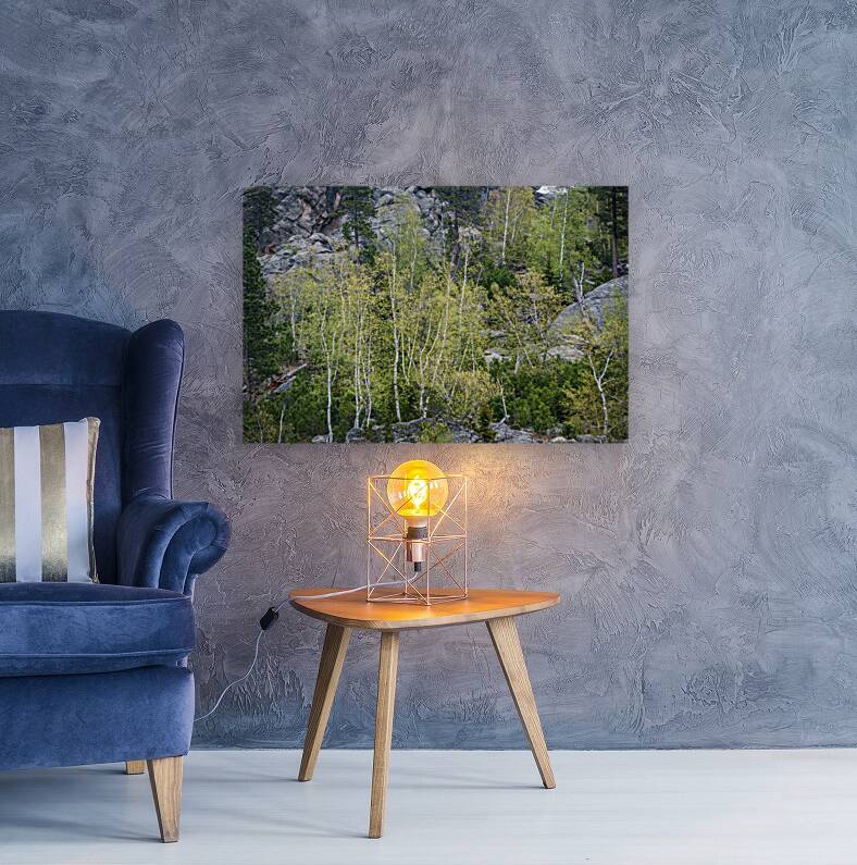 Apsen Grove on a Hill Reproduction